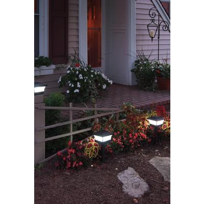 4 in 1 Premium Light