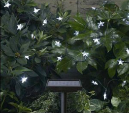 Solar Festive Light Star