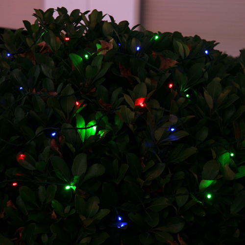 Solar Festive LED Light
