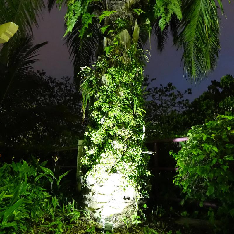 Alpha 180X Solar Flood Light