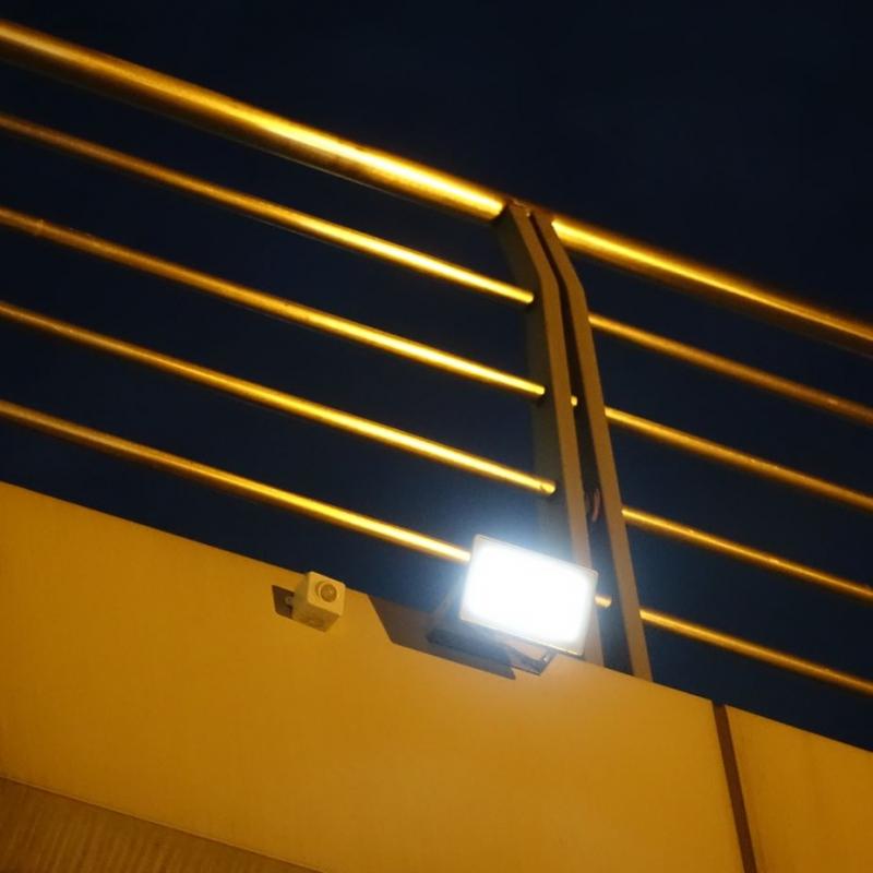 Guardian 580X Solar Flood Light