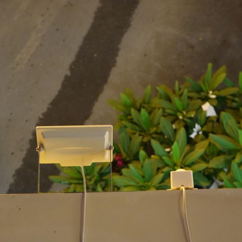 Guardian 580X Solar Flood Light