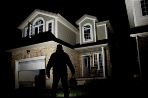 Guardian 580X Solar Flood Light